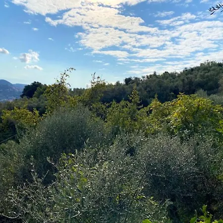 Hébergement de vacances 2 Bedrooms House At Lerici 500 M Away From The Beach With Sea View Enclosed Garden And Wifi *